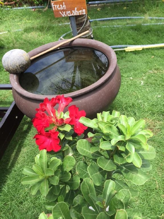 Hoi An Osaka Riverside Villa & Spa Bagian luar foto
